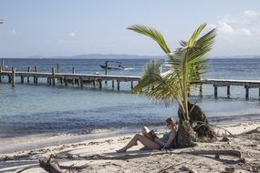 woman under a palm tree on a sandy beach