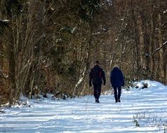 couple walking in winter park