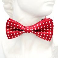 red bow tie in white dots