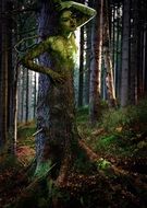fantasy photo of woman tree