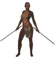 woman warrior with swords in their hands