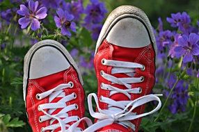 red sneakers near purple flowers