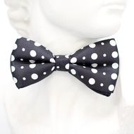 fashionable bow tie