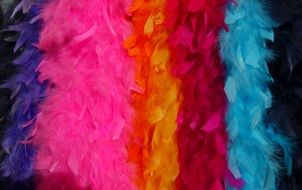 colorful Feather Boas in row