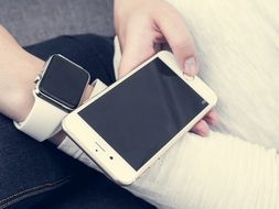 Iphone 6S Plus and Apple Iwatch