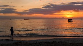 woman at the seaside during sunset