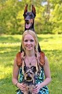 Blonde Woman Doberman Yorkie