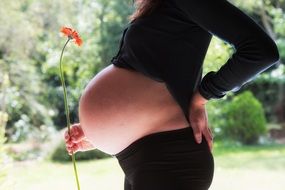 pregnancy as a decoration of a woman