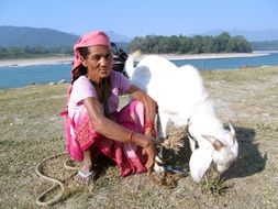 Old woman with the goat in Nepal