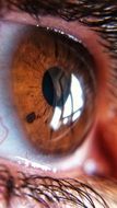 Eye Macro