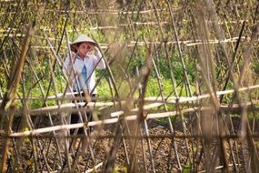 Woman Work Farm asia