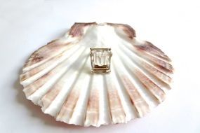 vintage ring on shell