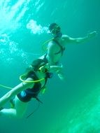 Divers Scuba