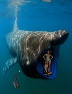 girls in the mouth of a big fish