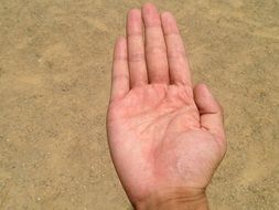 human hand with fingers together on the background of the soil