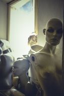 female Mannequins indoor