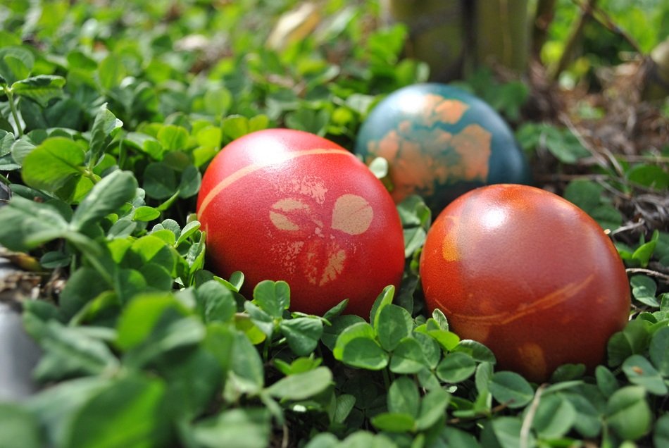 Egg Easter Egg Easter Spring