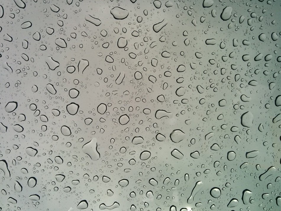 Rain Drops Background Rain Drops