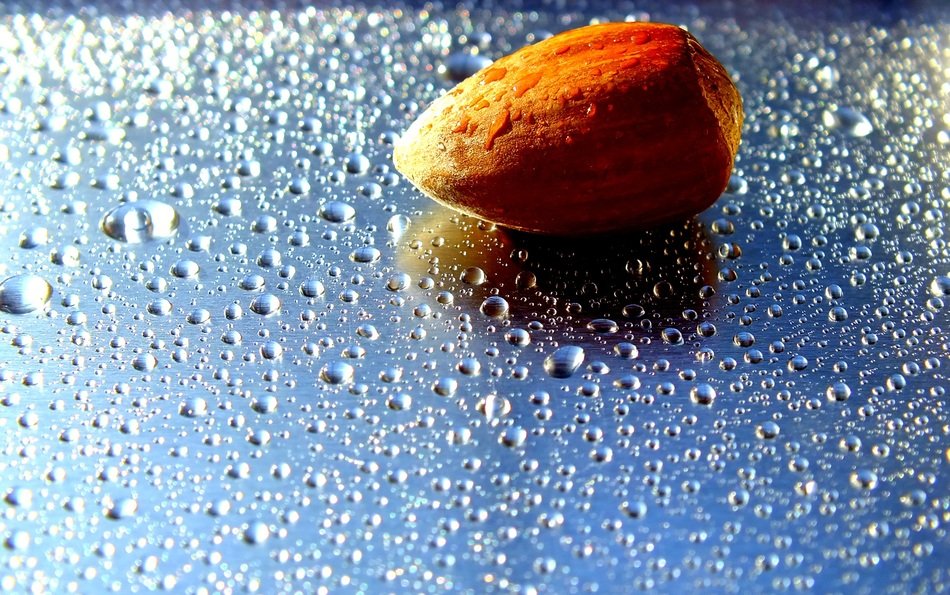 Walnut Water Drops Of Water