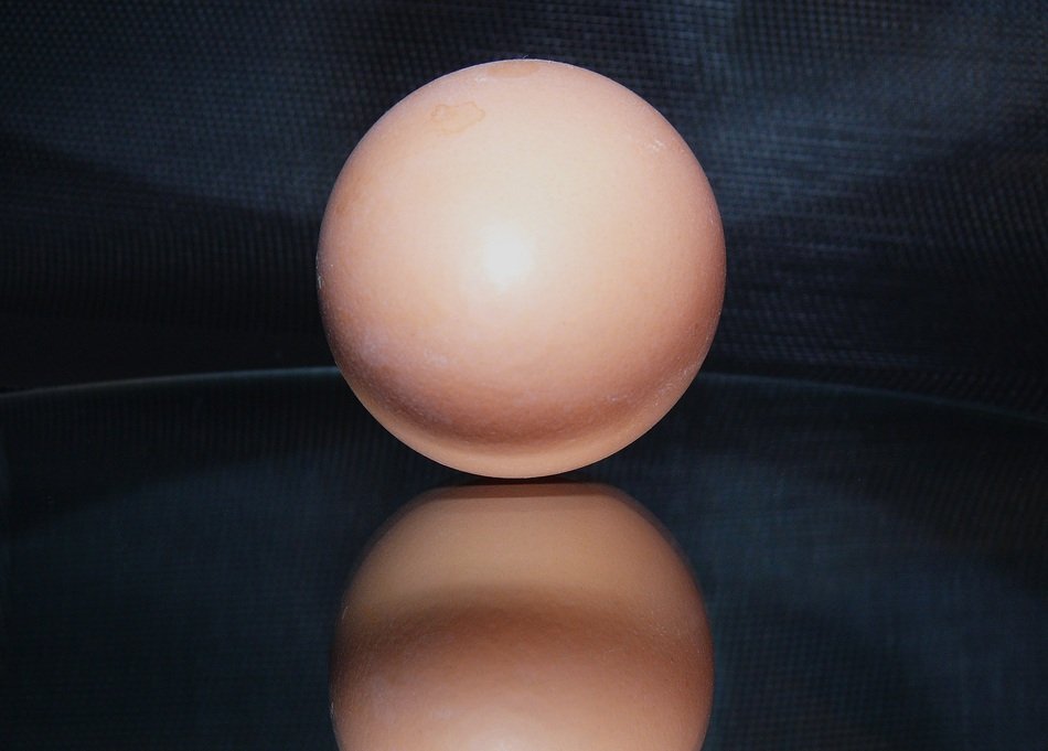chicken egg on the black background