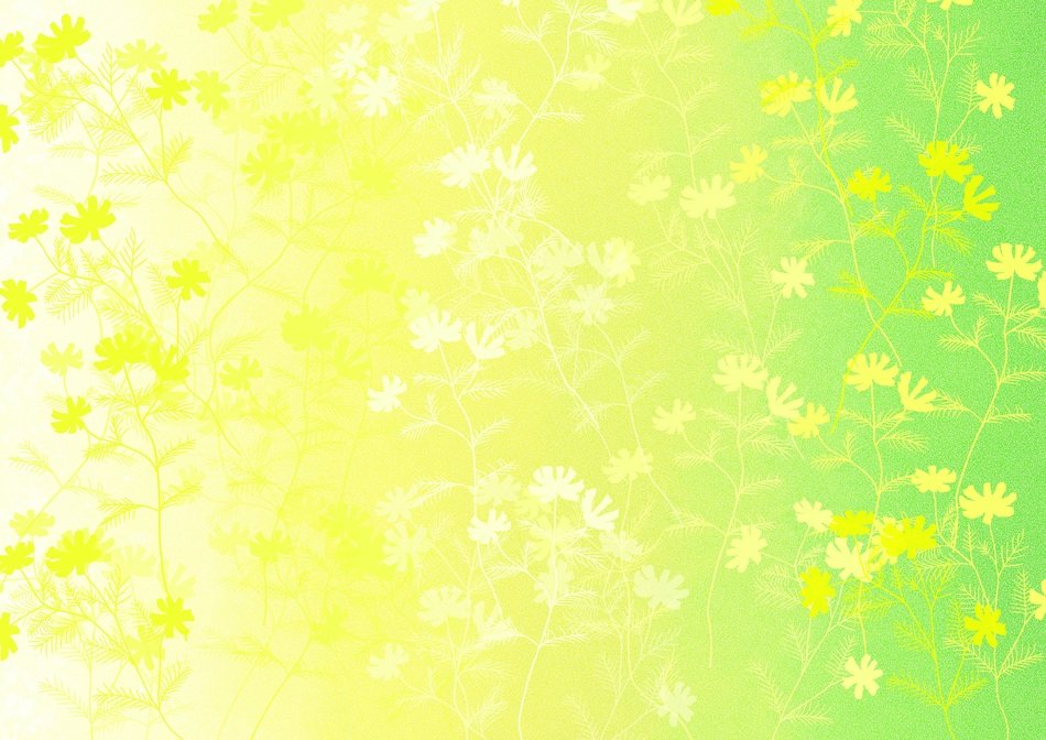 The Background Spring Flowers