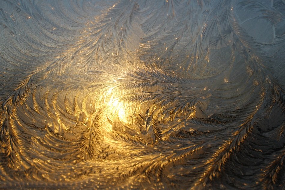 morning sun through the iced pattern
