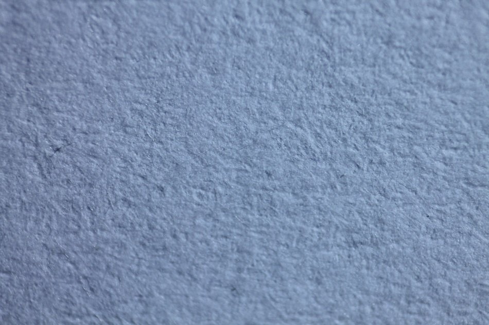 Nature Macro Photography Texture
