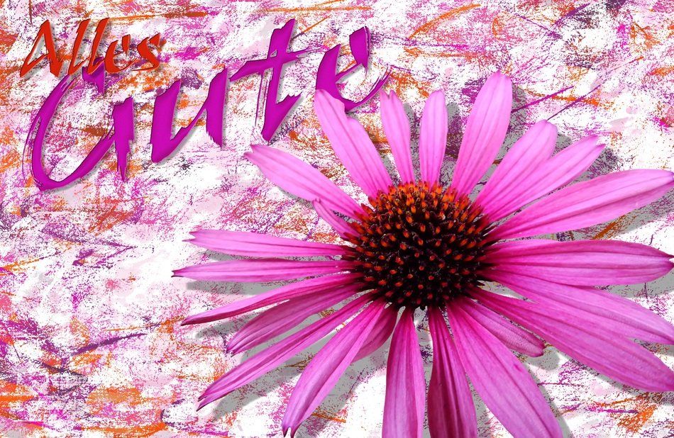 postcard with garden flower as background