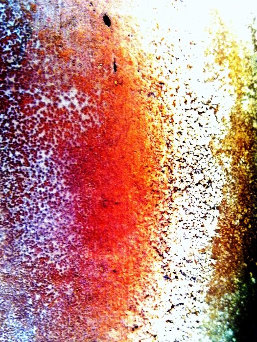 wallpaper with colorful gradient
