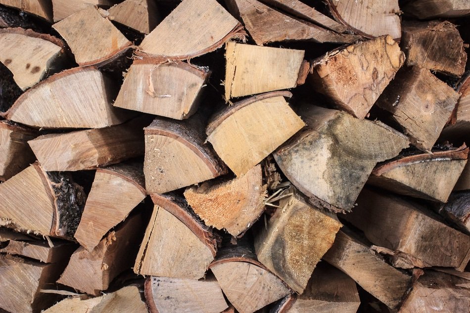Tree Wood Billet Firewood