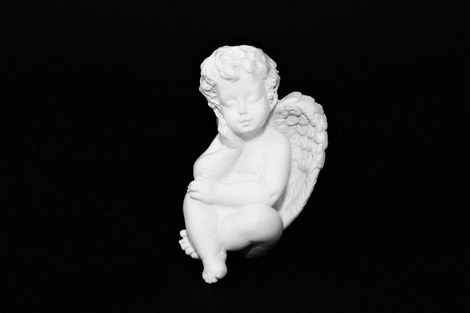Angel Fig Guardian Angel