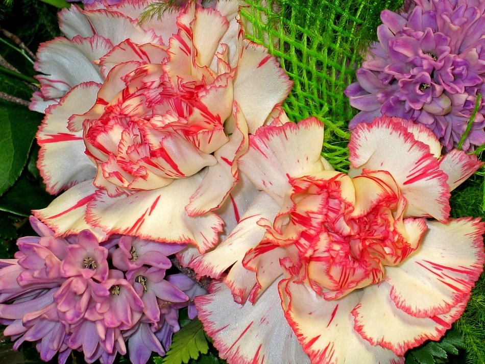 Flowers Give Valentine'S Day