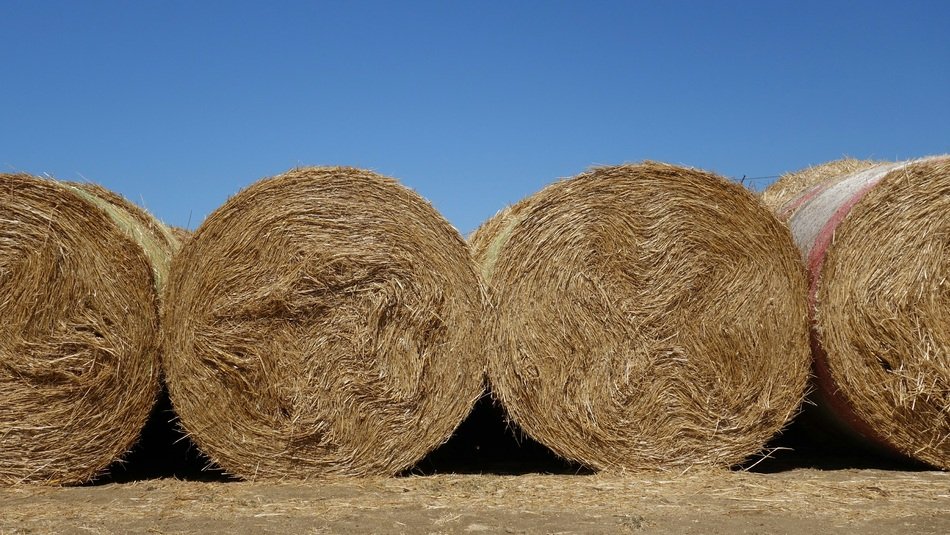 Straw Bales Straw Roll Summer