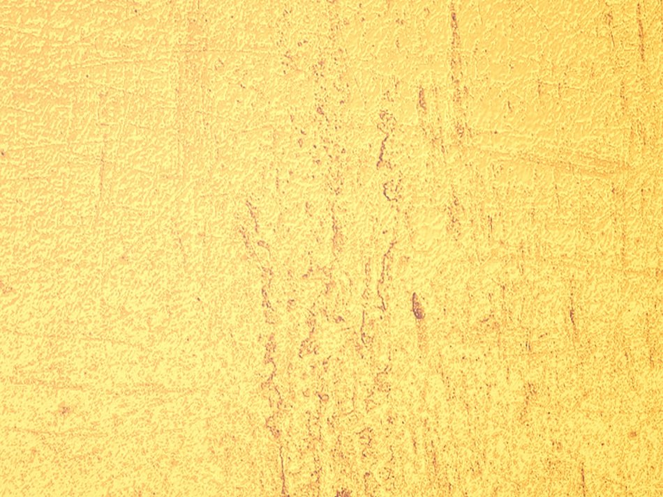 Yellow Grain Texture