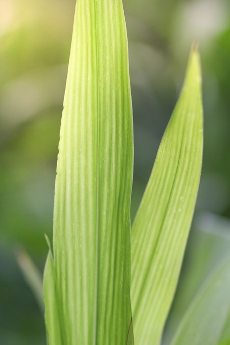 Agriculture Autumn Bio Climate
