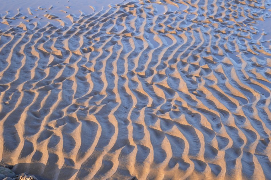 Sand Ripple Tide Wave Textured