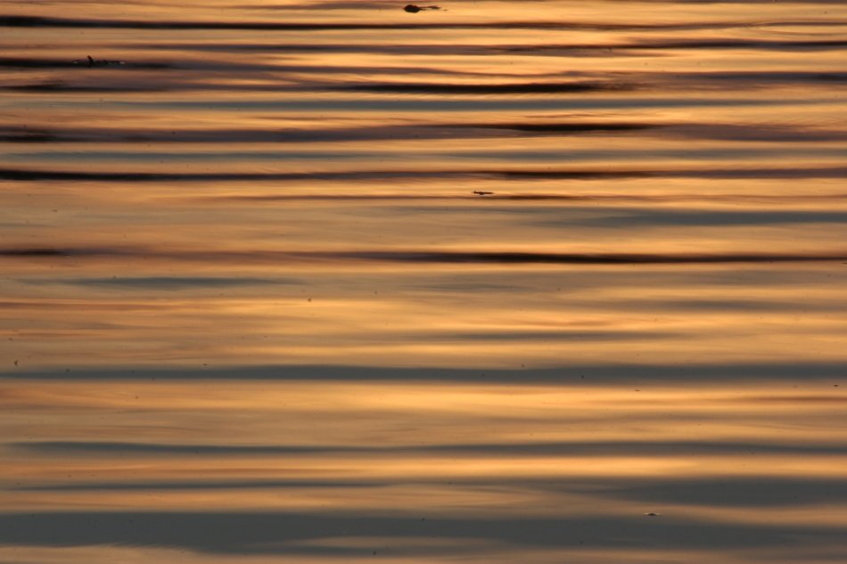 Water Sunset Structure Evening