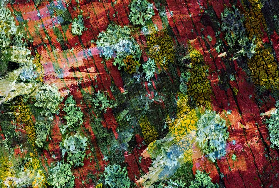 Texture Paint Peeling Weathered