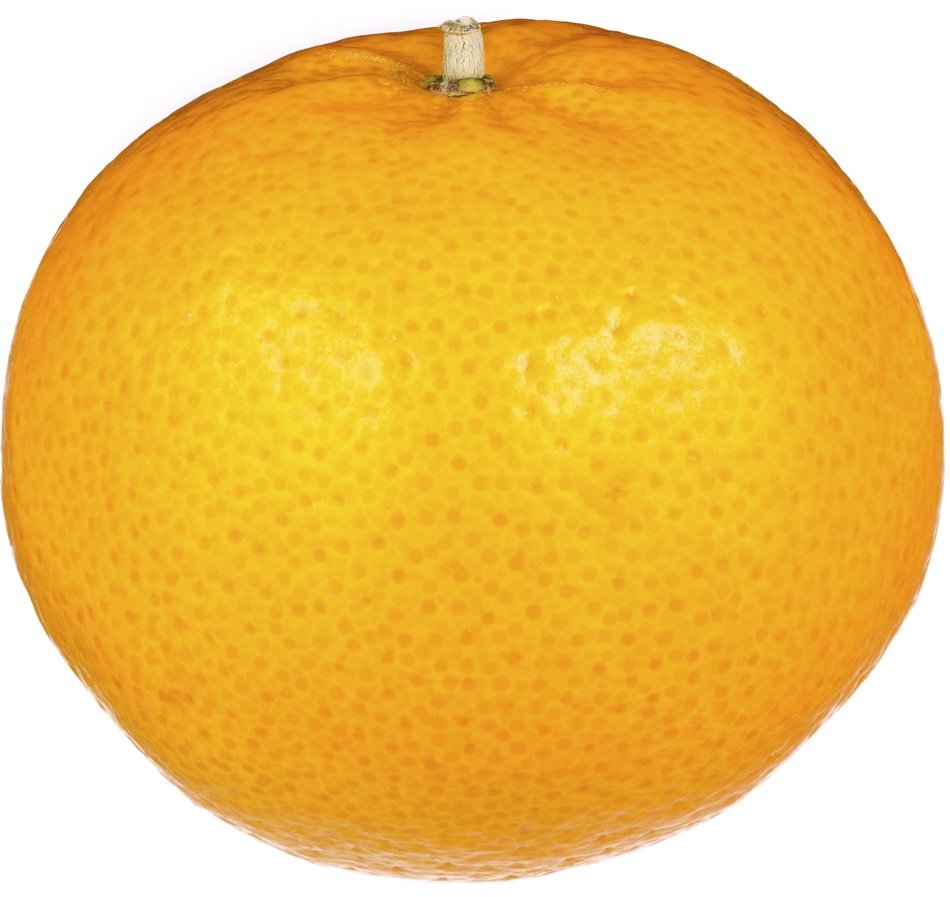 Orange Fruit Fresh