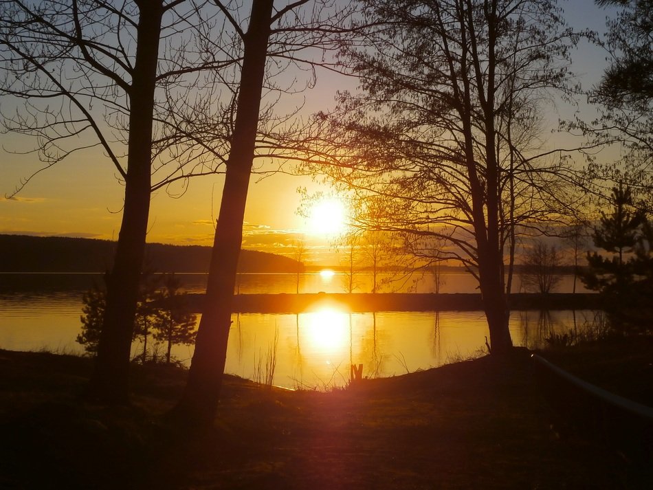 Sunset Sunrise Trees Lake Calm