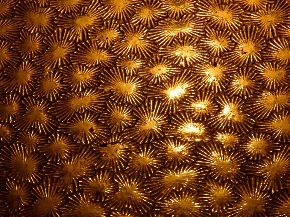 Glass Old Texture Translucent