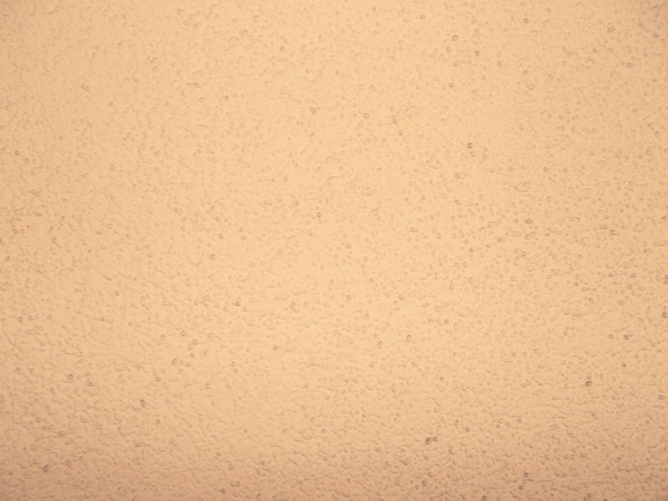 Clipart of peach background with small particles