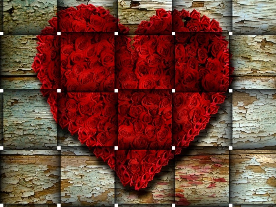 Tile Roses Background