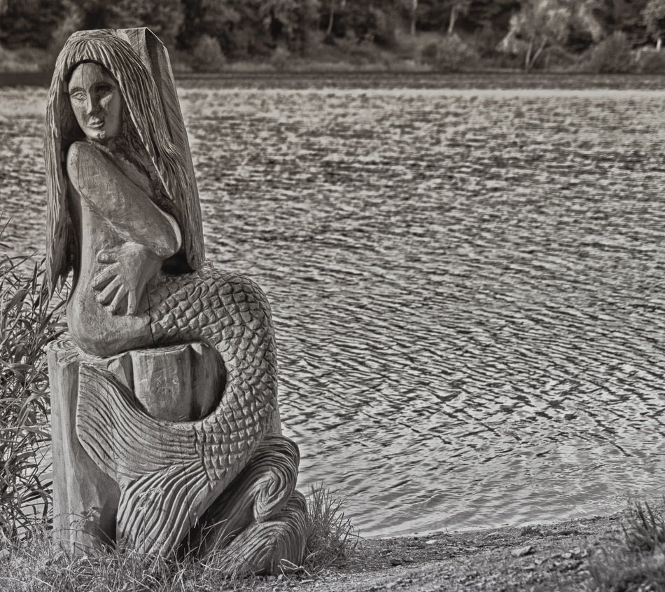 Mermaid Wood Water