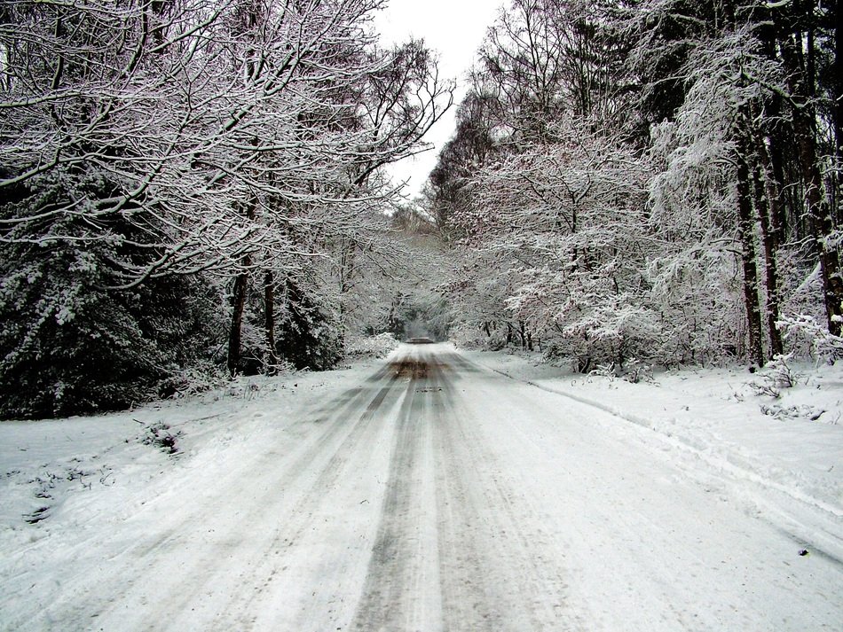 Snow White Winter Snow White