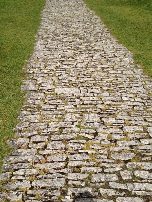 Texture Corfe Castle Dorset Path
