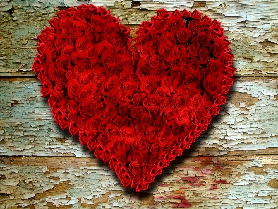 Wood Roses Background