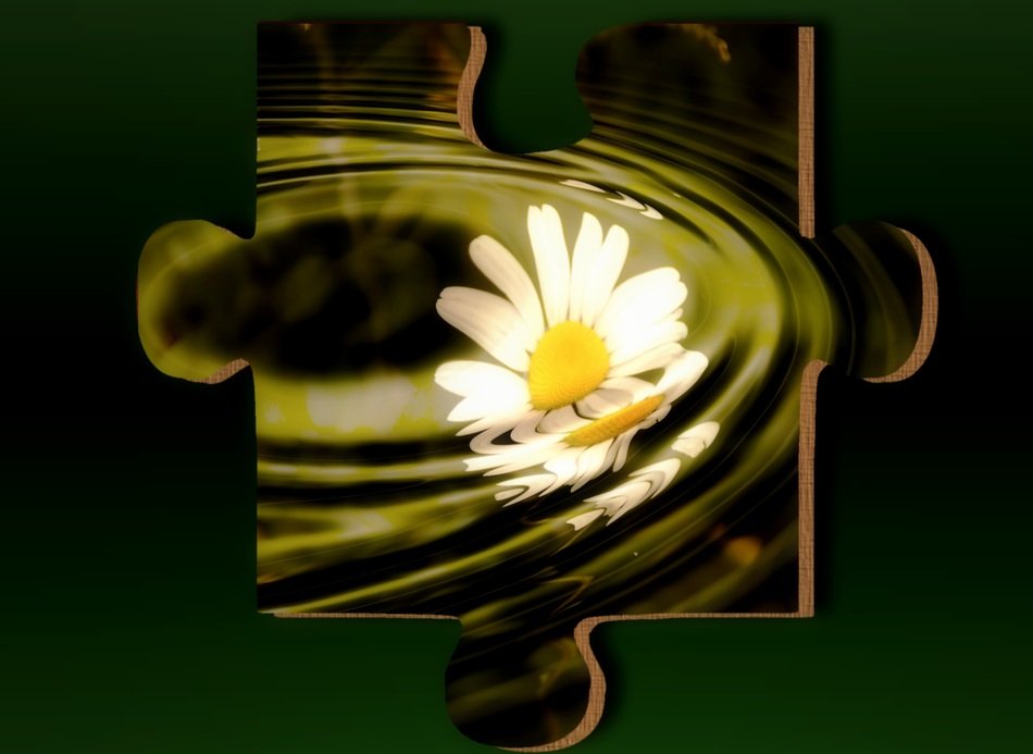 Daisy Puzzle Flower Yellow