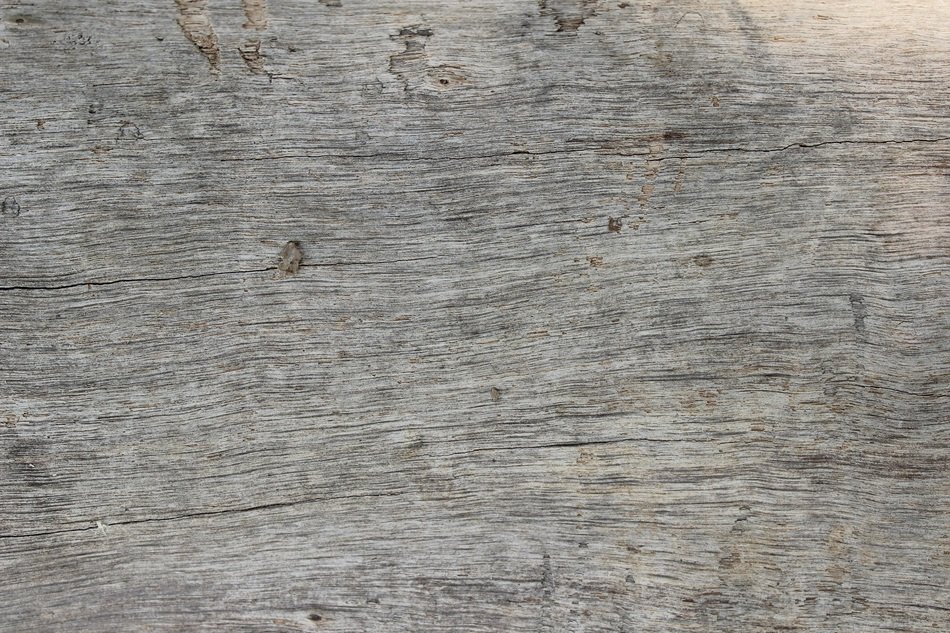 Wood Background Texture Neutral
