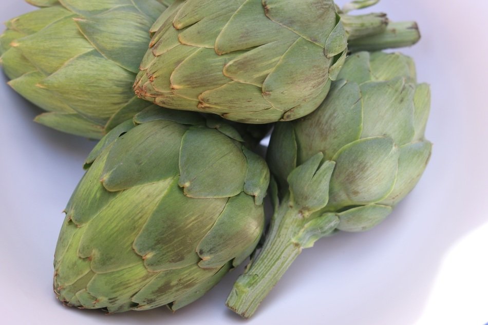 Artichoke Plant Food Vegetable